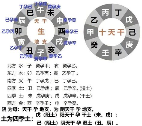 甲木 壬水|甲木喜欢壬水还是癸水——天玄网